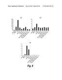 FC CONTAINING POLYPEPTIDES WITH ALTERED GLYCOSYLATION AND REDUCED EFFECTOR     FUNCTION diagram and image