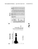 FC CONTAINING POLYPEPTIDES WITH ALTERED GLYCOSYLATION AND REDUCED EFFECTOR     FUNCTION diagram and image