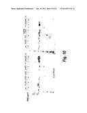 FC CONTAINING POLYPEPTIDES WITH ALTERED GLYCOSYLATION AND REDUCED EFFECTOR     FUNCTION diagram and image