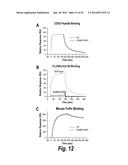 FC CONTAINING POLYPEPTIDES WITH ALTERED GLYCOSYLATION AND REDUCED EFFECTOR     FUNCTION diagram and image