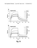 FC CONTAINING POLYPEPTIDES WITH ALTERED GLYCOSYLATION AND REDUCED EFFECTOR     FUNCTION diagram and image