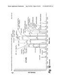 FC CONTAINING POLYPEPTIDES WITH ALTERED GLYCOSYLATION AND REDUCED EFFECTOR     FUNCTION diagram and image