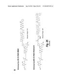 FC CONTAINING POLYPEPTIDES WITH ALTERED GLYCOSYLATION AND REDUCED EFFECTOR     FUNCTION diagram and image