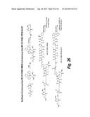 FC CONTAINING POLYPEPTIDES WITH ALTERED GLYCOSYLATION AND REDUCED EFFECTOR     FUNCTION diagram and image