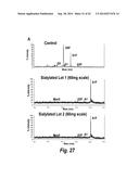 FC CONTAINING POLYPEPTIDES WITH ALTERED GLYCOSYLATION AND REDUCED EFFECTOR     FUNCTION diagram and image