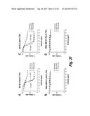 FC CONTAINING POLYPEPTIDES WITH ALTERED GLYCOSYLATION AND REDUCED EFFECTOR     FUNCTION diagram and image