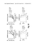 FC CONTAINING POLYPEPTIDES WITH ALTERED GLYCOSYLATION AND REDUCED EFFECTOR     FUNCTION diagram and image