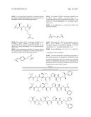 FC CONTAINING POLYPEPTIDES WITH ALTERED GLYCOSYLATION AND REDUCED EFFECTOR     FUNCTION diagram and image