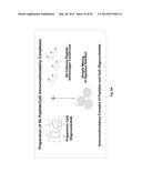 PEPTIDE VACCINE FOR PREVENTION AND IMMUNOTHERAPY OF DEMENTIA OF THE     ALZHEIMER S TYPE diagram and image