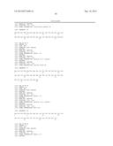 PEPTIDE VACCINE FOR PREVENTION AND IMMUNOTHERAPY OF DEMENTIA OF THE     ALZHEIMER S TYPE diagram and image