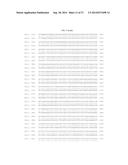 PORCINE REPRODUCTIVE AND RESPIRATORY SYNDROME VIRUS, COMPOSITIONS, VACCINE     AND METHODS OF USE diagram and image