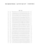 PORCINE REPRODUCTIVE AND RESPIRATORY SYNDROME VIRUS, COMPOSITIONS, VACCINE     AND METHODS OF USE diagram and image