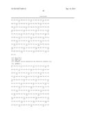 PORCINE REPRODUCTIVE AND RESPIRATORY SYNDROME VIRUS, COMPOSITIONS, VACCINE     AND METHODS OF USE diagram and image