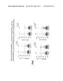 USE OF MYCOBACTERIUM AVIUM PARATUBERCULOSIS PEPTIDES TO DIAGNOSE TYPE 1     DIABETES diagram and image