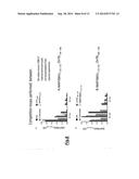 USE OF MYCOBACTERIUM AVIUM PARATUBERCULOSIS PEPTIDES TO DIAGNOSE TYPE 1     DIABETES diagram and image