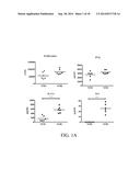 NOVEL TYPE 1 DIABETES VACCINES, AND METHODS OF USE diagram and image