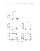 NOVEL TYPE 1 DIABETES VACCINES, AND METHODS OF USE diagram and image