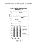 NOVEL TYPE 1 DIABETES VACCINES, AND METHODS OF USE diagram and image