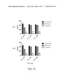 NOVEL TYPE 1 DIABETES VACCINES, AND METHODS OF USE diagram and image