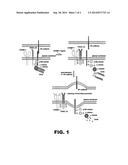 ADJUVANT COMPOSITIONS AND METHODS OF USING THEREOF diagram and image