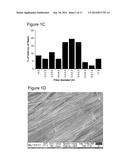 THERAPEUTIC ELECTROSPUN FIBER COMPOSITIONS diagram and image