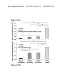 THERAPEUTIC ELECTROSPUN FIBER COMPOSITIONS diagram and image