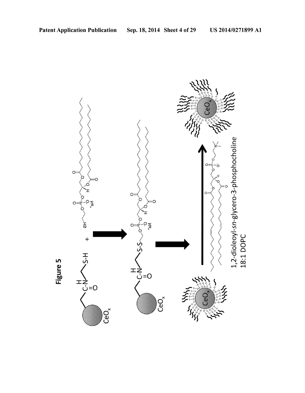 METHOD OF ENHANCING THE BIODISTRIBUTION AND TISSUE TARGETING PROPERTIES OF     THERAPEUTIC CECO2 PARTICLES VIA NANO-ENCAPSULATION AND COATING - diagram, schematic, and image 05
