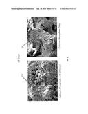 BONE GRAFT MATERIALS CONTAINING CALCIUM PHOSPHATE AND CHITOSAN diagram and image