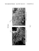 BONE GRAFT MATERIALS CONTAINING CALCIUM PHOSPHATE AND CHITOSAN diagram and image