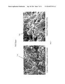 BONE GRAFT MATERIALS CONTAINING CALCIUM PHOSPHATE AND CHITOSAN diagram and image