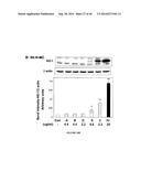 Compositions for Alleviating Inflammation and Oxidative Stress in a Mammal diagram and image