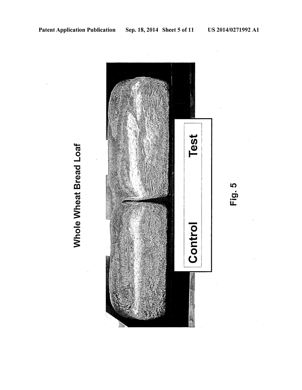 Heat-Treated Flour - diagram, schematic, and image 06