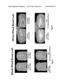 Heat-Treated Flour diagram and image