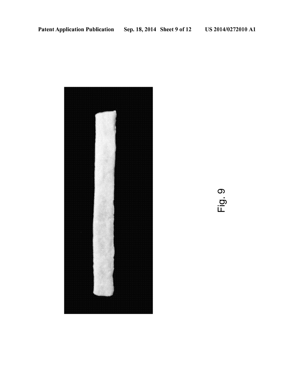 Edible Utensil and Method of Producing The Same - diagram, schematic, and image 10