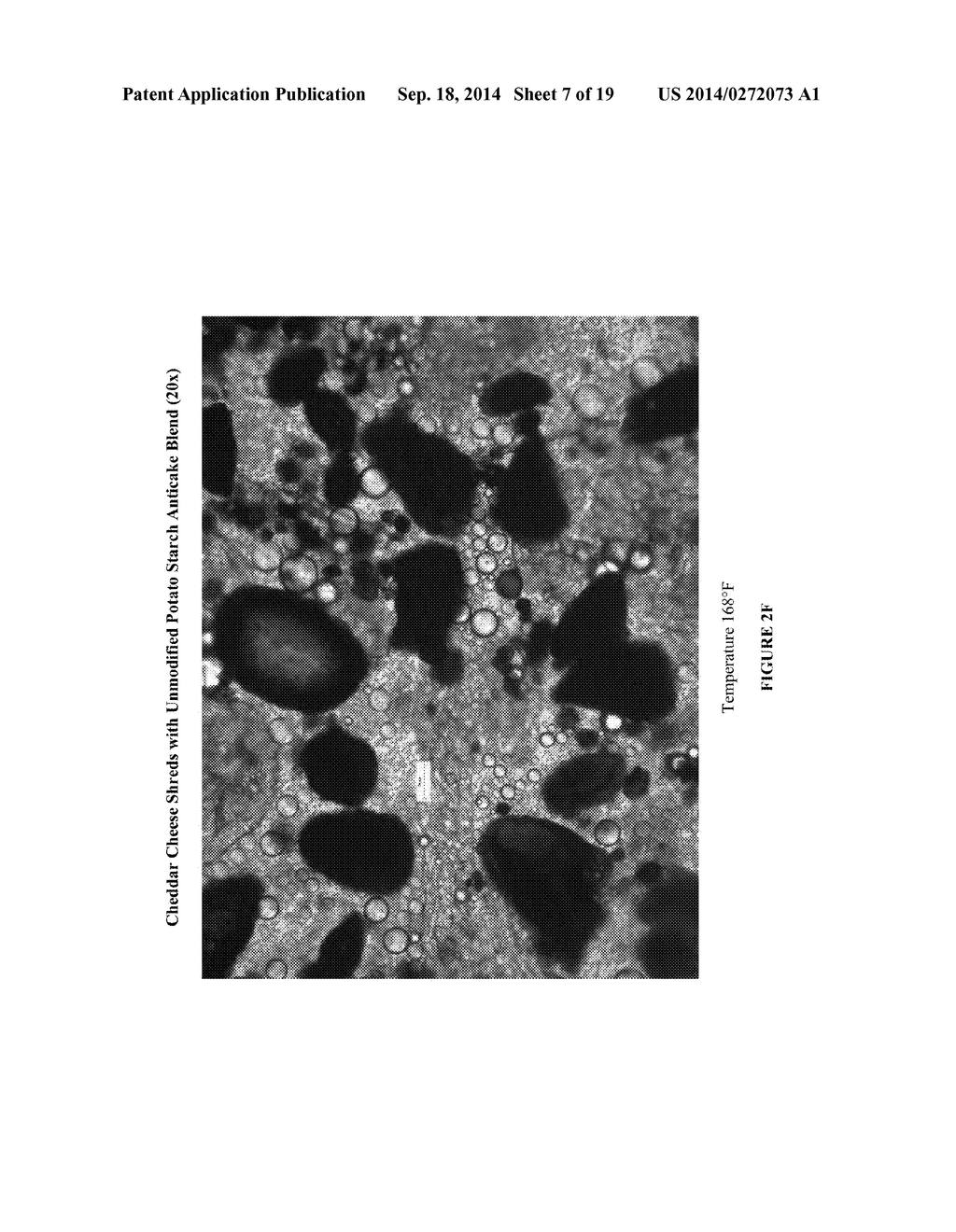 Cheese Anticake for Enhanced Melt - diagram, schematic, and image 08