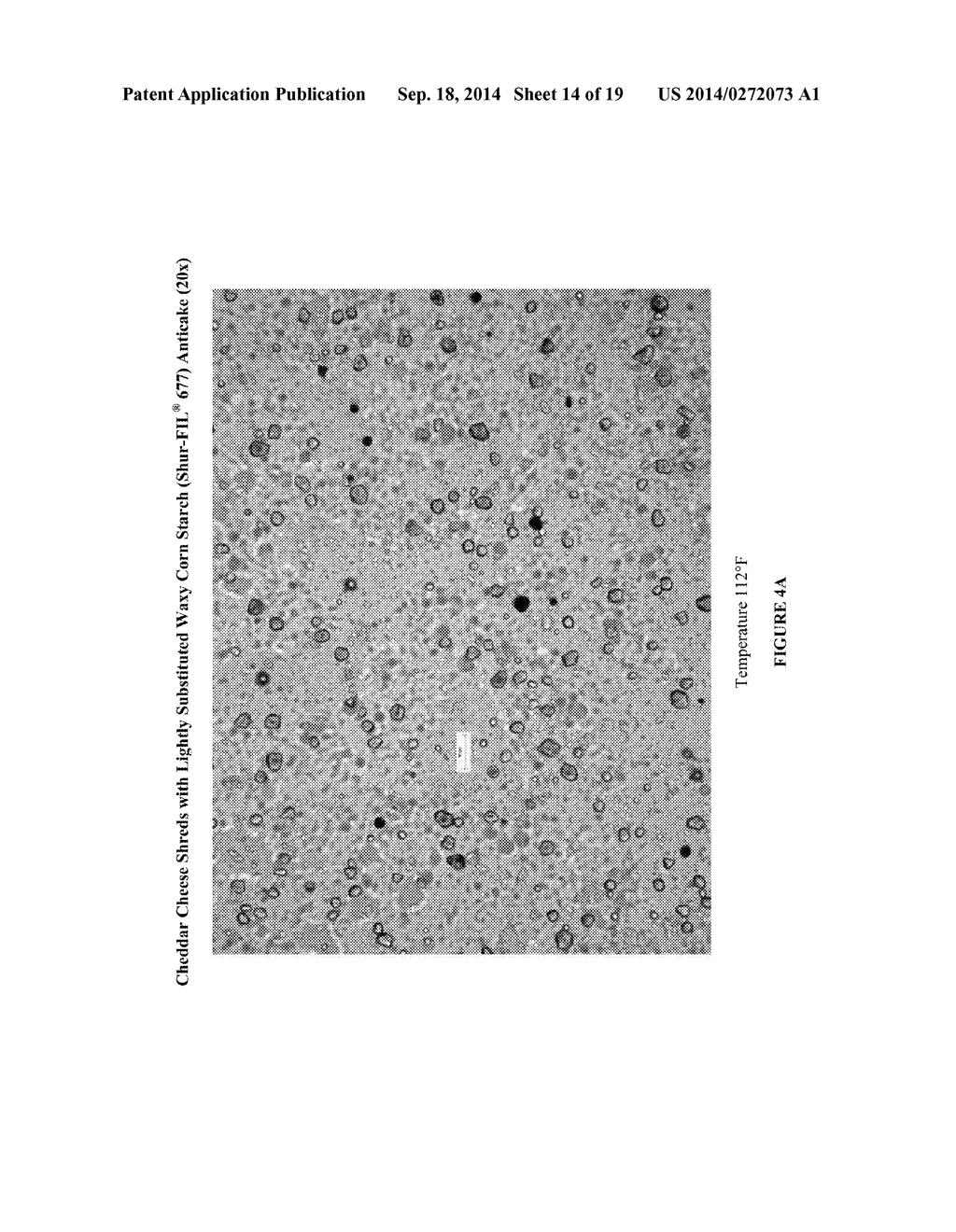 Cheese Anticake for Enhanced Melt - diagram, schematic, and image 15