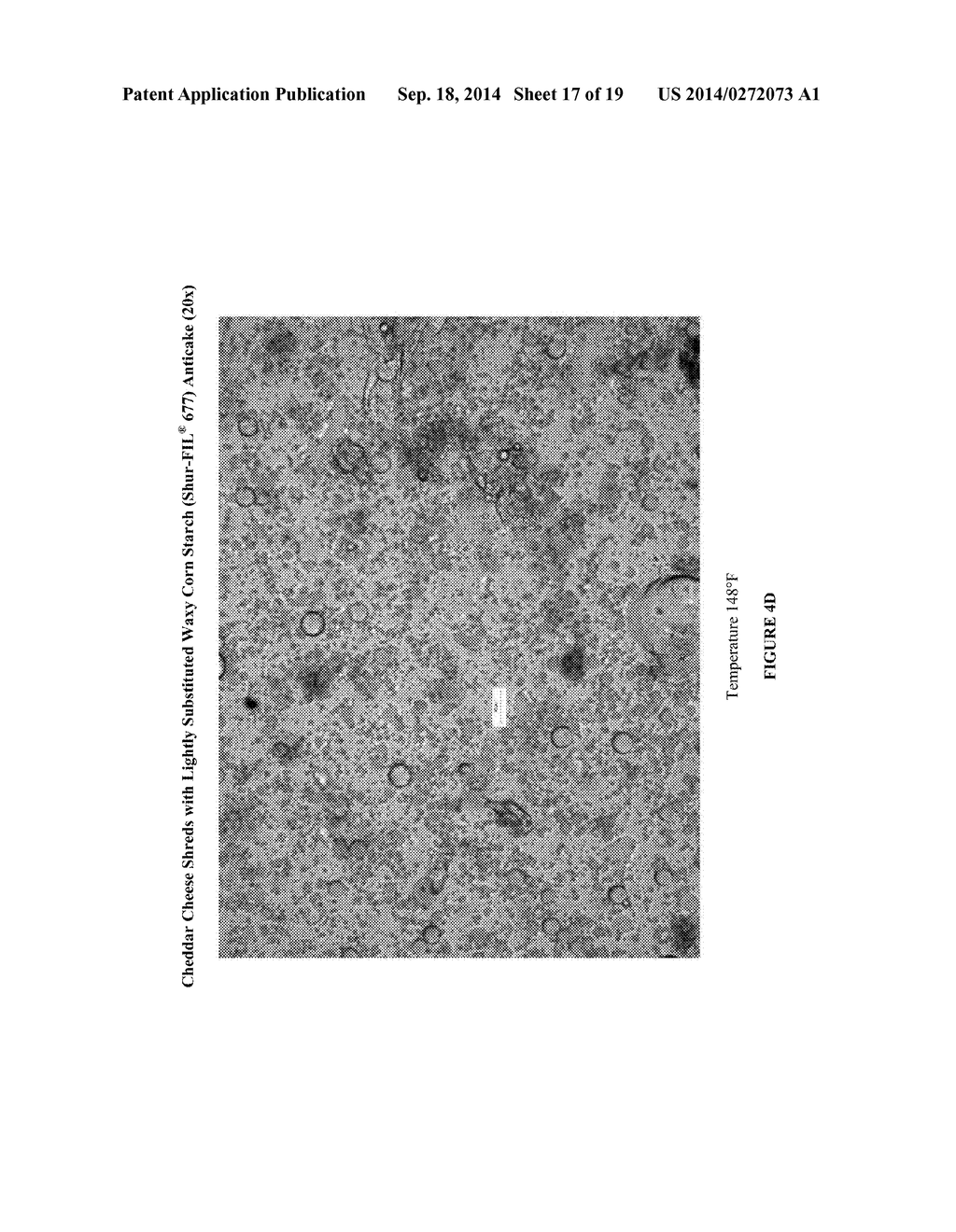 Cheese Anticake for Enhanced Melt - diagram, schematic, and image 18