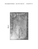GUM ROSIN PROTECTIVE COATING AND METHODS OF USE diagram and image