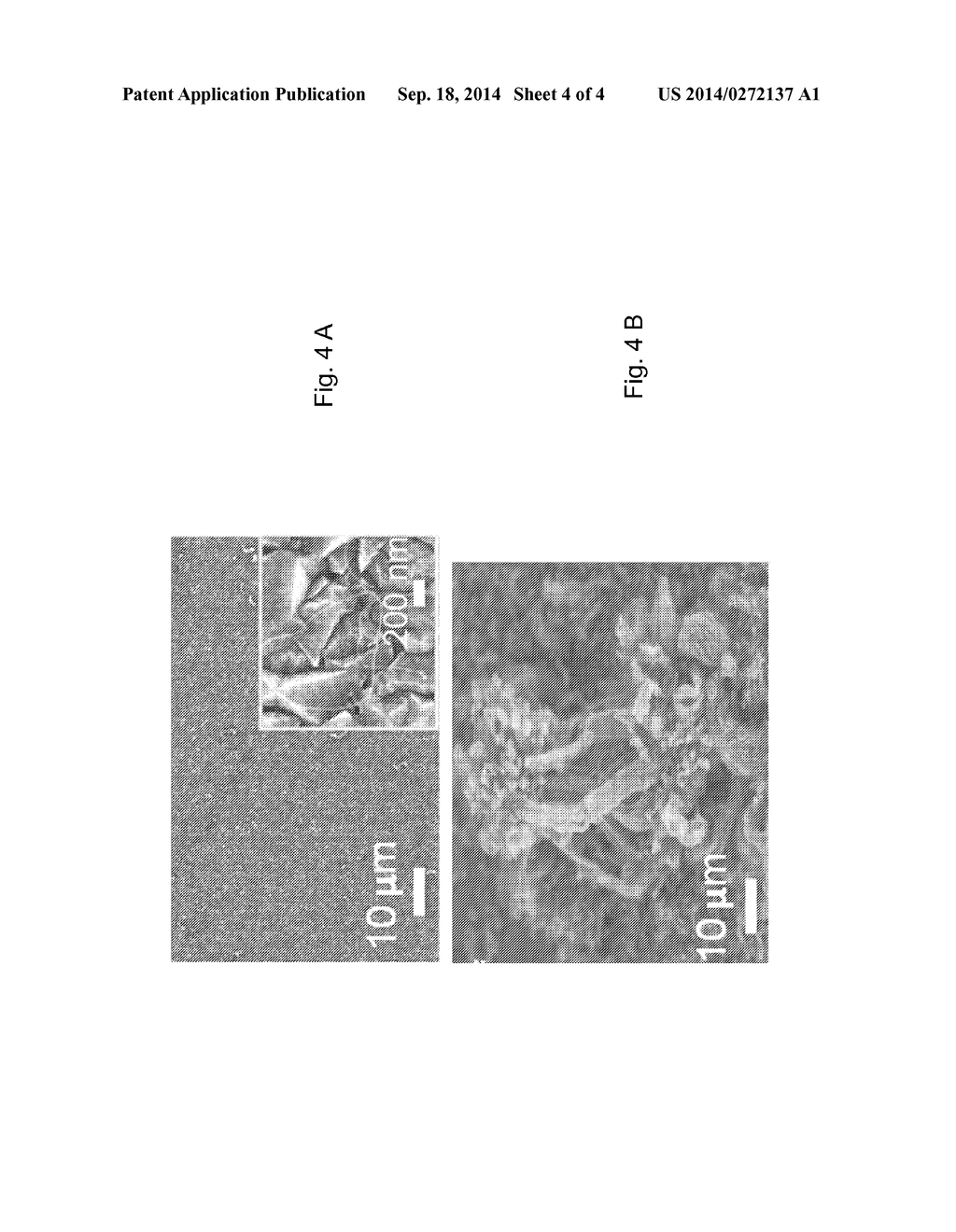 Method for Growth of Vertically Aligned Carbon Nanotubes on Diamond     Substrates - diagram, schematic, and image 05