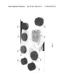 Cellular Ceramic Article and Method For Manufacturing  The Same diagram and image