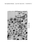 METHOD TO CONTROL VOID FORMATION IN NANOMATERIALS USING CORE/ALLOY     NANOPARTICLES WITH STAINLESS INTERFACES diagram and image