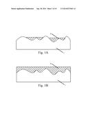 PROTECTED ELECTRODE STRUCTURES diagram and image