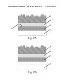 PROTECTED ELECTRODE STRUCTURES diagram and image