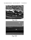 PROTECTED ELECTRODE STRUCTURES diagram and image