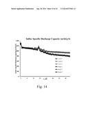 PROTECTED ELECTRODE STRUCTURES diagram and image