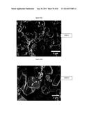 Complexometric Precursor Formulation Methodology For Industrial Production     Of Fine And Ultrafine Powders And Nanopowders Of Layered Lithium Mixed     metal Oxides For Battery Applications diagram and image