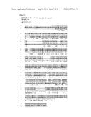 MULTICOPPER OXIDASE MUTANT, A GENE CODING THEREOF, AND A BIOFUEL-CELL     USING THE SAME diagram and image