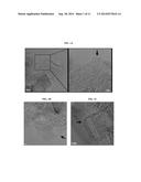 POROUS GRAPHENE NANOCAGES FOR BATTERY APPLICATIONS diagram and image