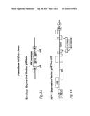 Compositions And Methods For Determining Resistance To Inhibitors Of Virus     Entry Using Recombinant Virus Assays diagram and image