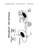 Compositions And Methods For Determining Resistance To Inhibitors Of Virus     Entry Using Recombinant Virus Assays diagram and image